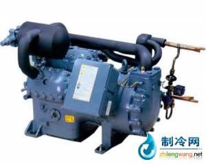 德國谷輪D9T/D6T雙級壓縮機 低溫應(yīng)用