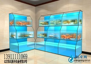 黎達麗業海鮮池工程