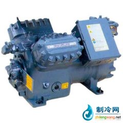德國谷輪蝶閥式壓縮機 低溫應(yīng)用