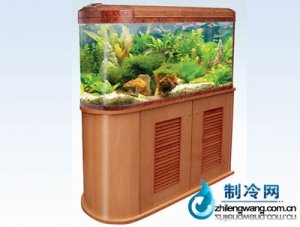 佳寶開放生態水族箱魚缸UR9105