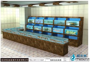  海鮮池魚缸ldzl62 