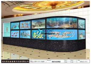 海鮮池魚缸ldzl93 