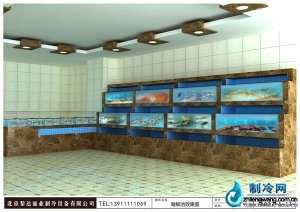  精美海鮮魚缸ldzl99 