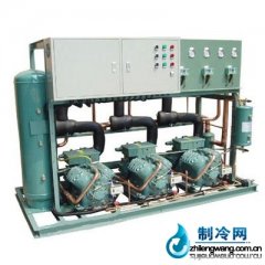 比澤爾螺桿機組并聯機組