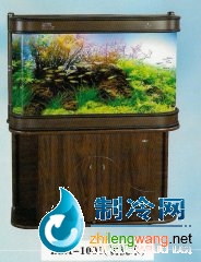 家用觀賞缸-可麗愛(ài)水族