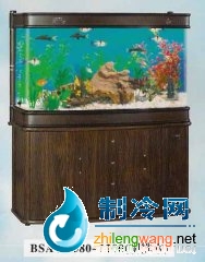 家用觀賞缸-可麗愛(ài)水族