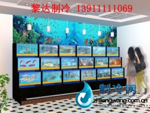 海鮮魚缸制作 ldzl 164