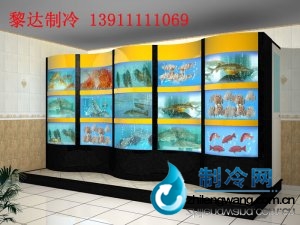 海鮮魚缸制作 ldzl 172