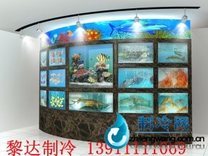 海鮮魚缸設計圖 ldzl 176